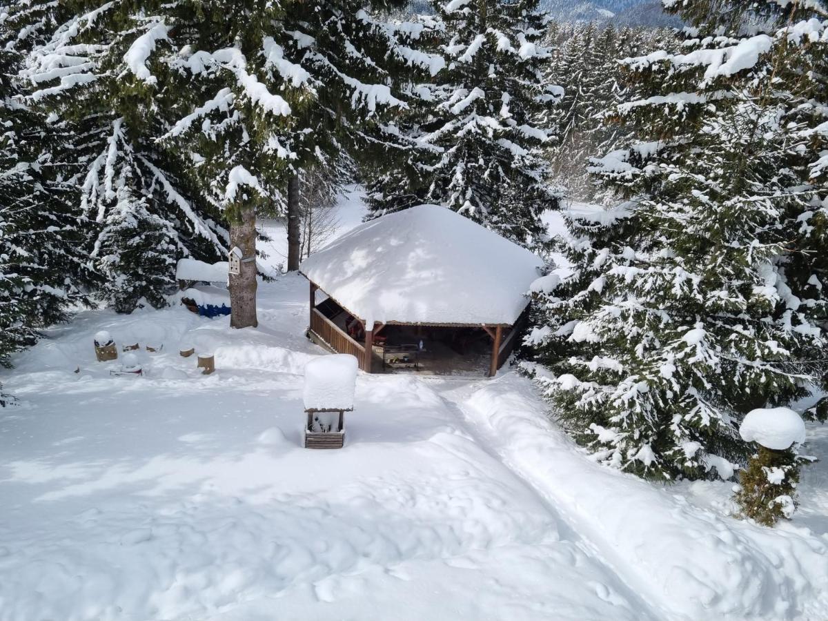 Casa Bondia Villa Pârâul Rece Bagian luar foto