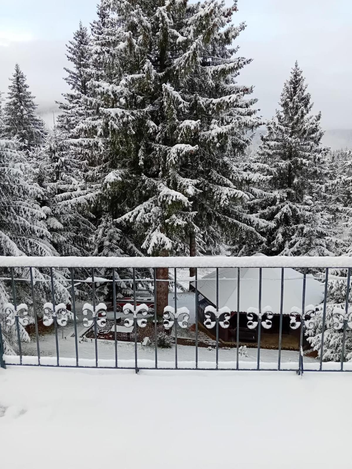 Casa Bondia Villa Pârâul Rece Bagian luar foto